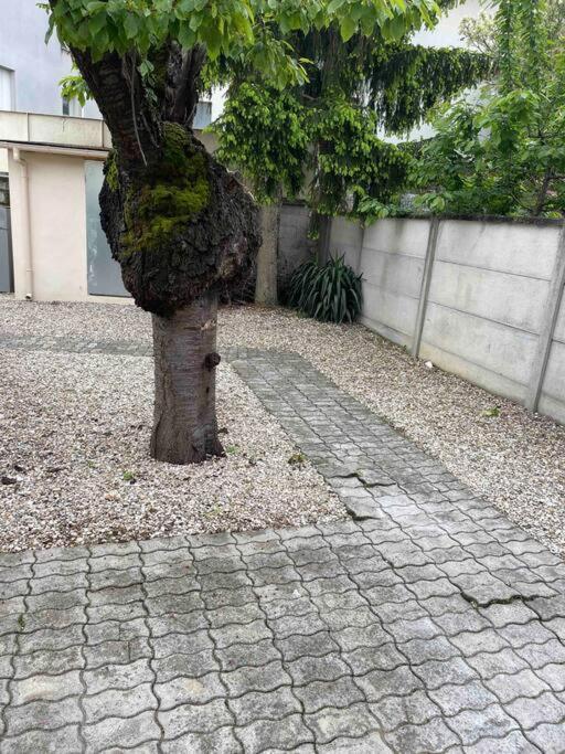 Studio Tout Confort, Au Pied De Toute Commodite, 2 Daire Créteil Dış mekan fotoğraf